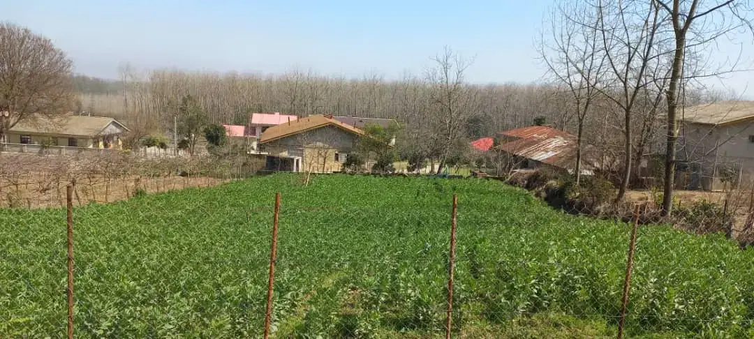 زمین ویلایی با سند ثبتی تک برگ