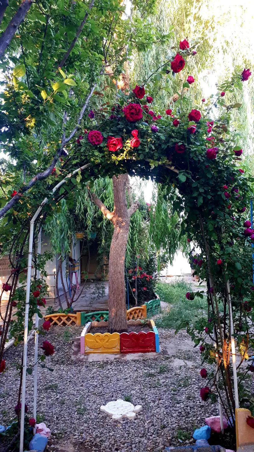 باغچه،یه تیکه از بهشت