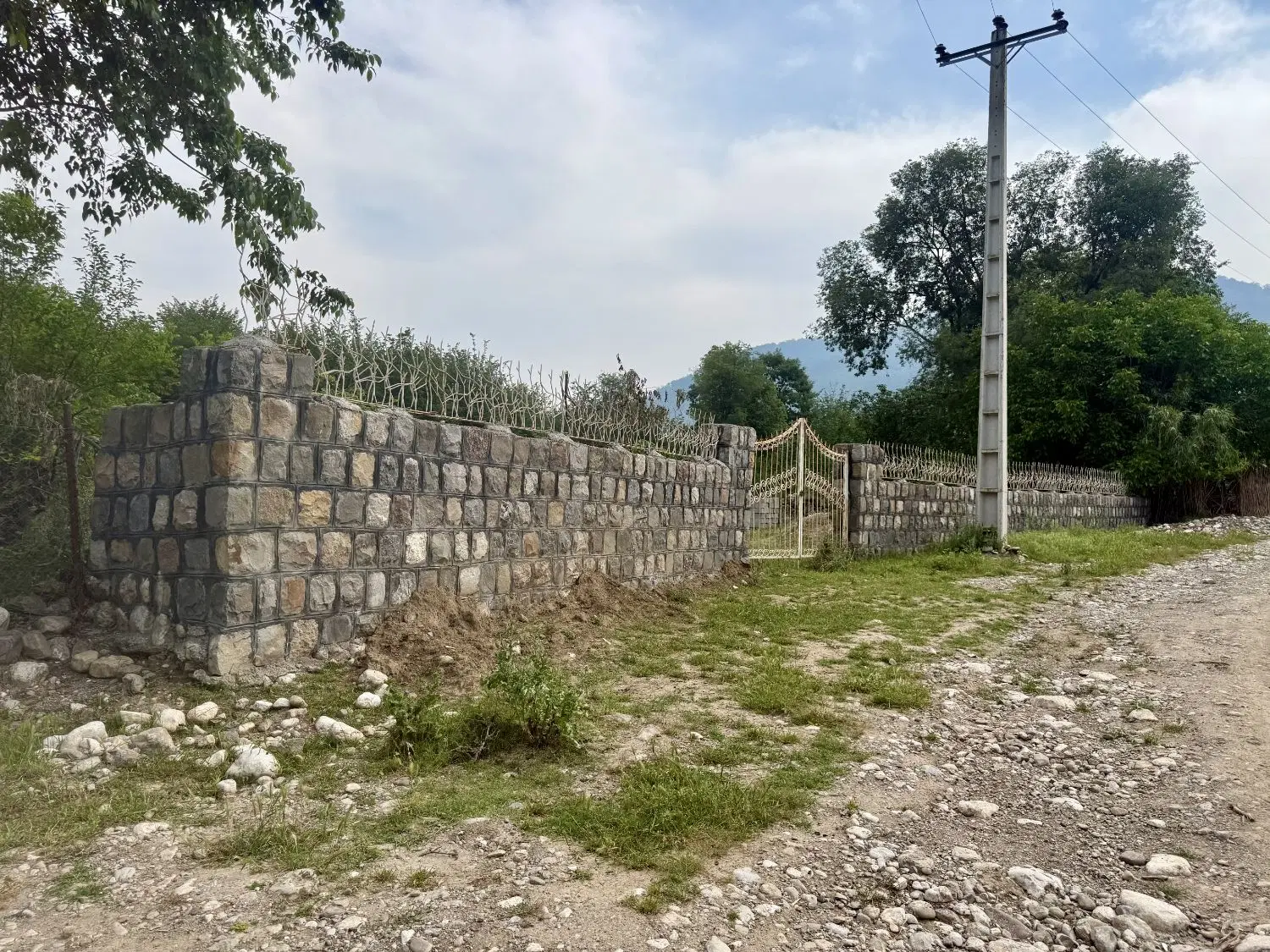 زمین باغی در طبیعت بکر