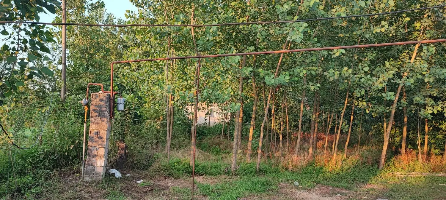 فروش زمین باغی مسکونی