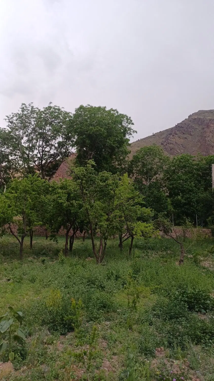 زمین مسکونی دارای دو طبقه بنای قدیمی