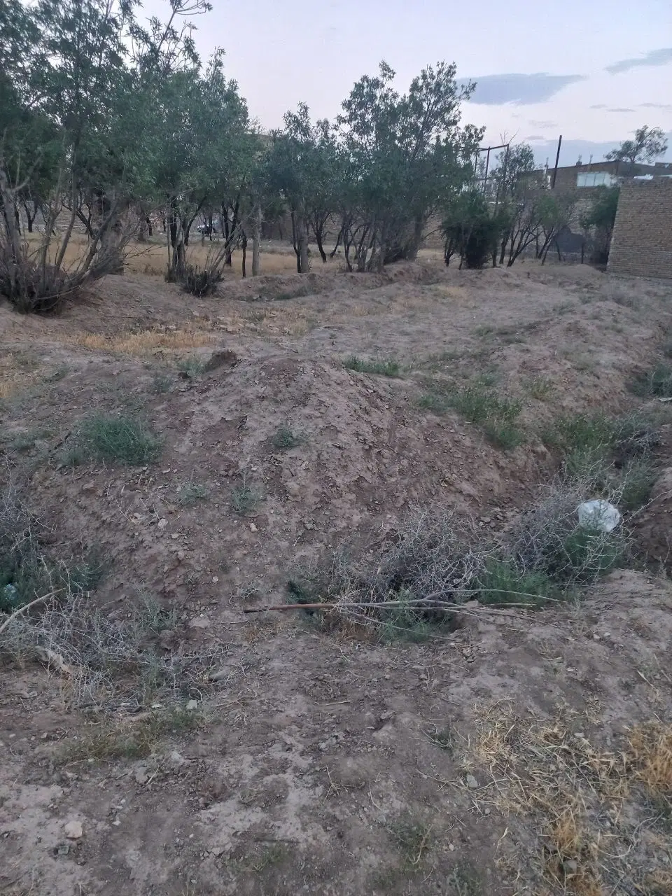 زمین فروشی در آغوی
