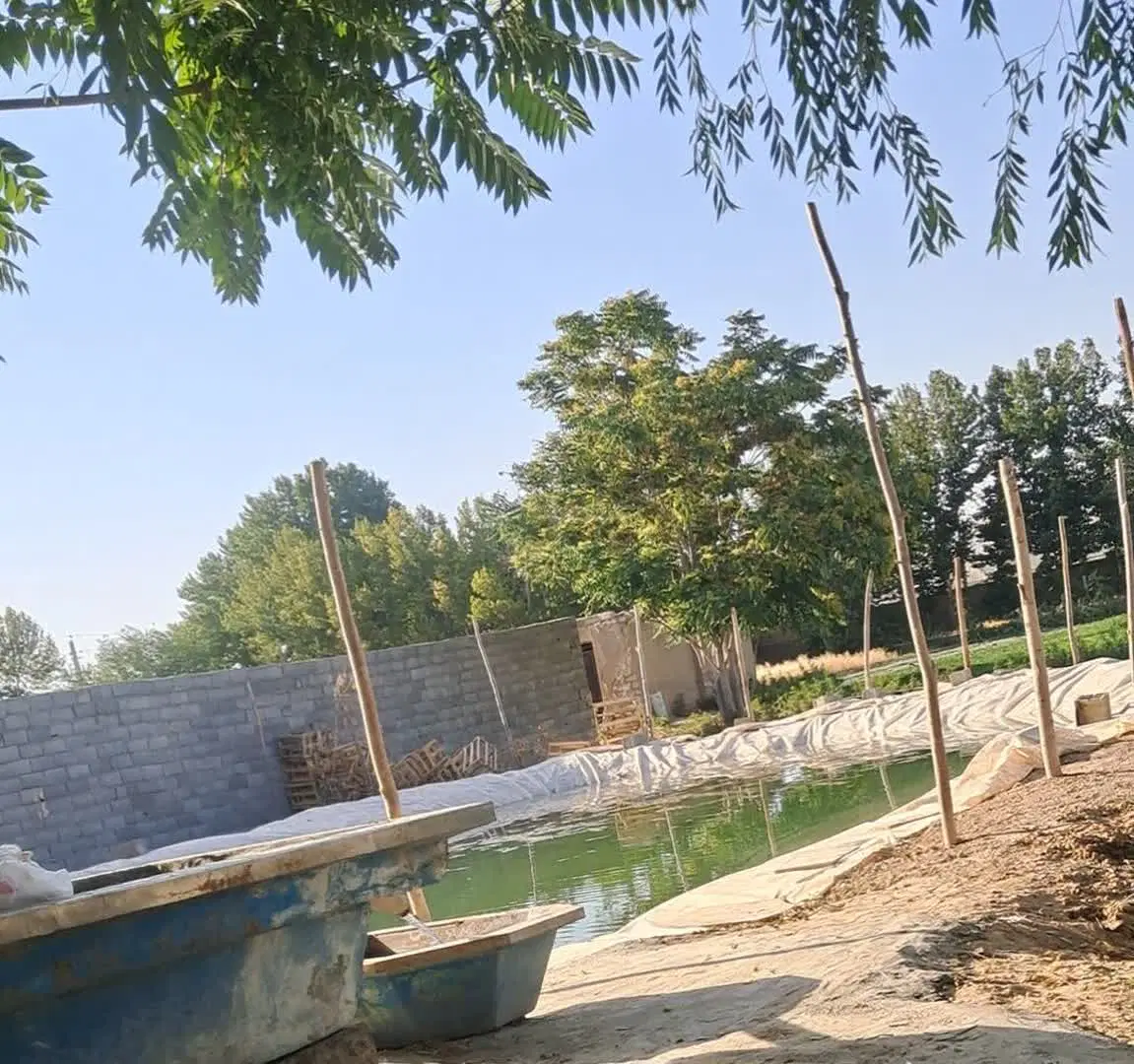 فروش زمین کشاورزی