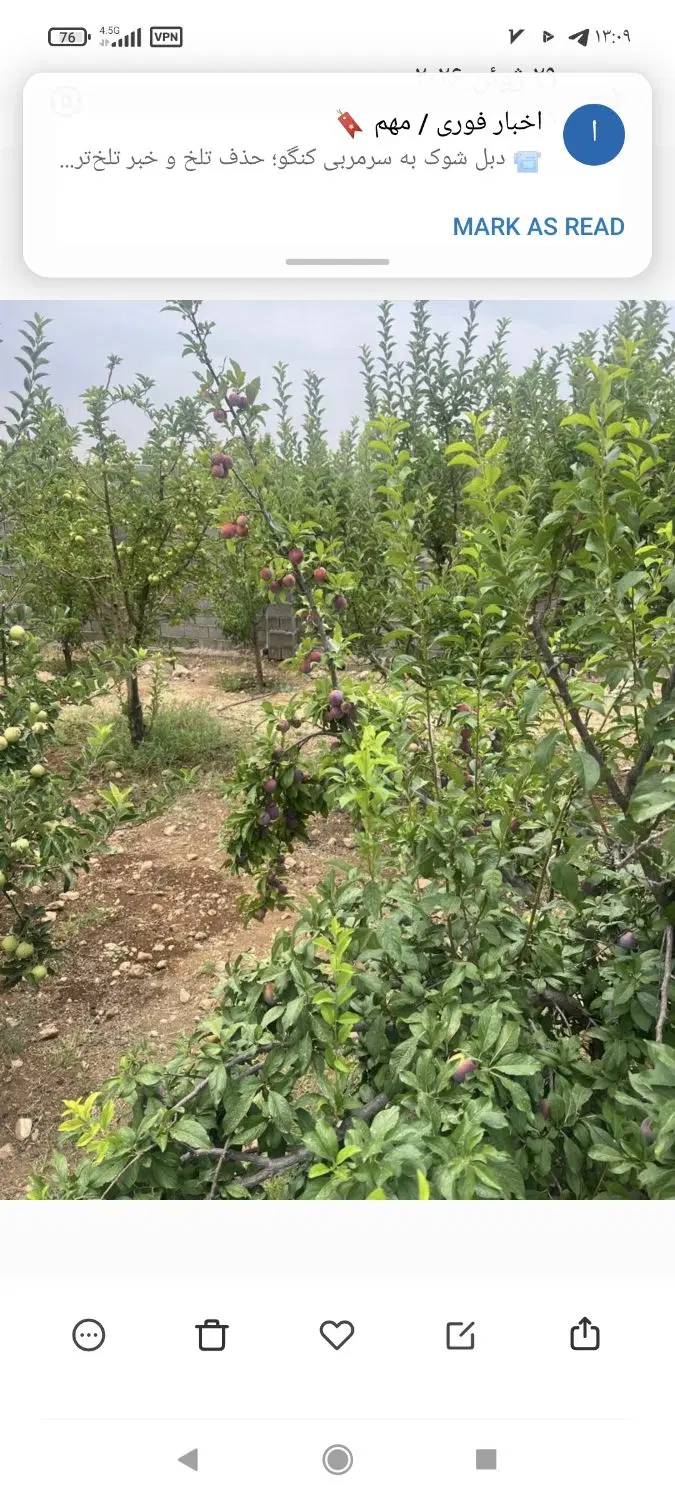 فروش ویلا روستای کلستان