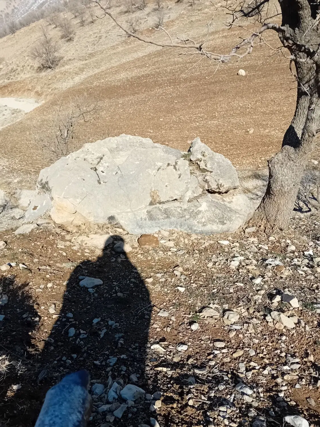 زمین منابع طبیعی بدون معارض