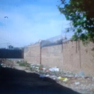 زمین کشاورزی