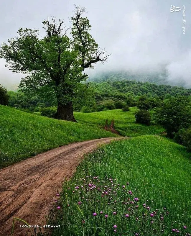 فروش 4000 متر زمین واقع در روستا های اطراف مبارکه