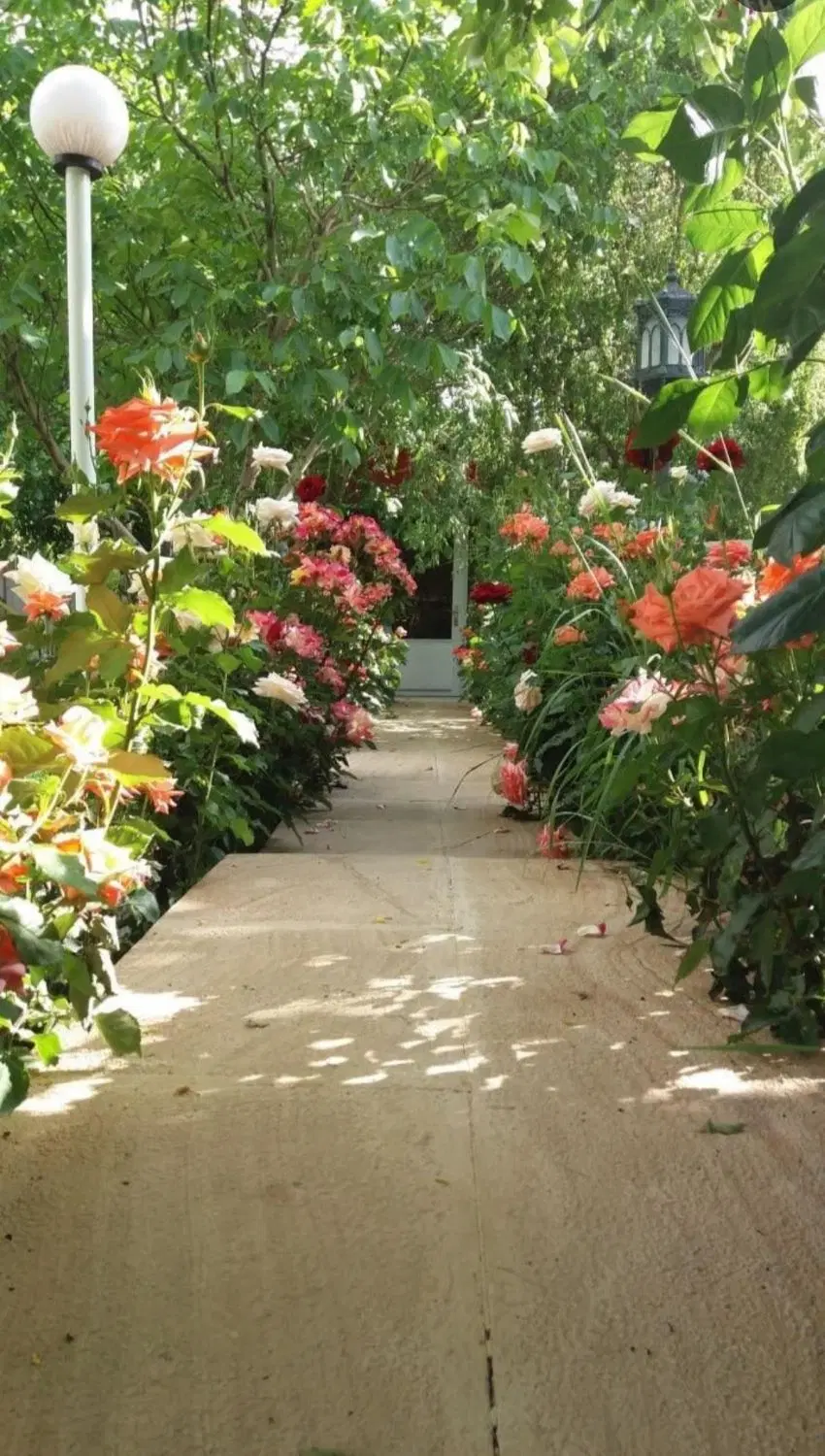 زمین خیابان مجاهد برازجان