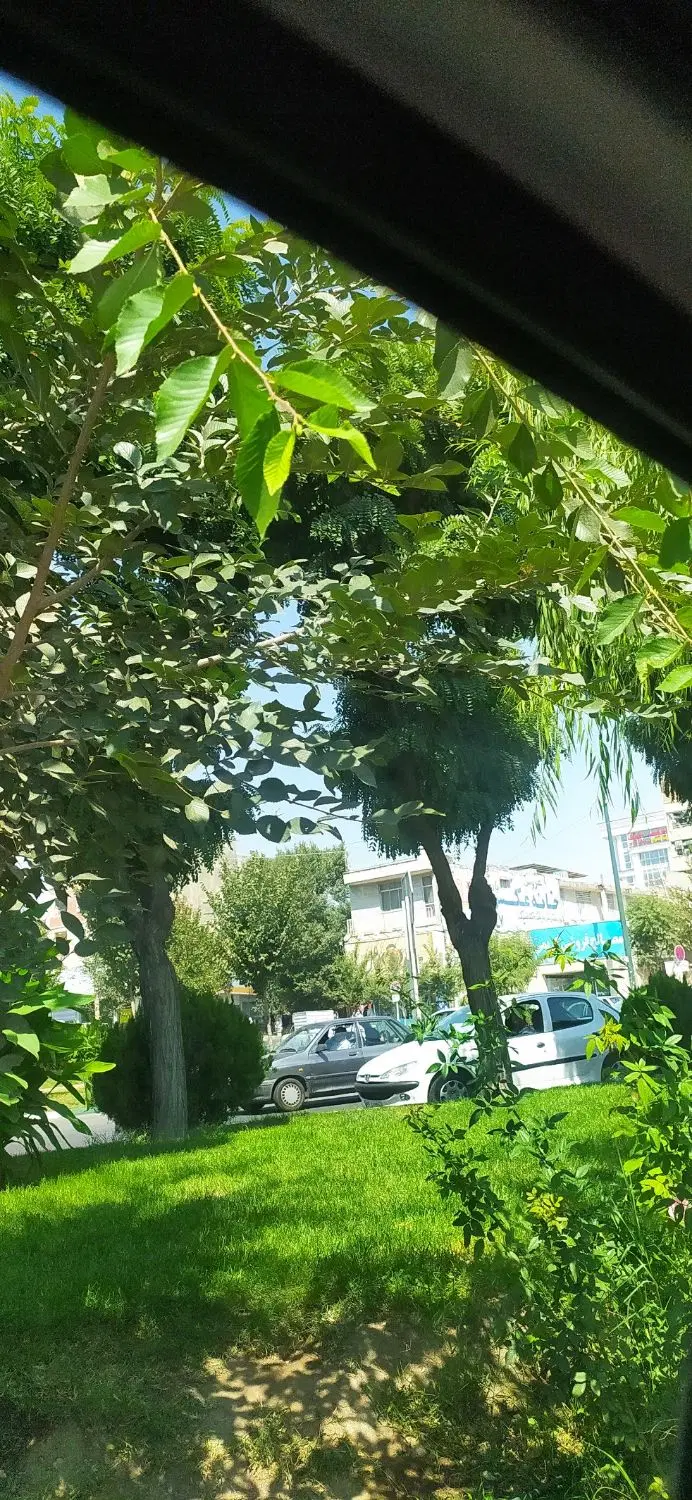 زمین کشاورزی مناسب باغ و باغچه