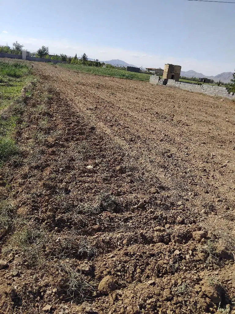 فروش زمین باغی بالاتر از اداره گاز مبارکه
