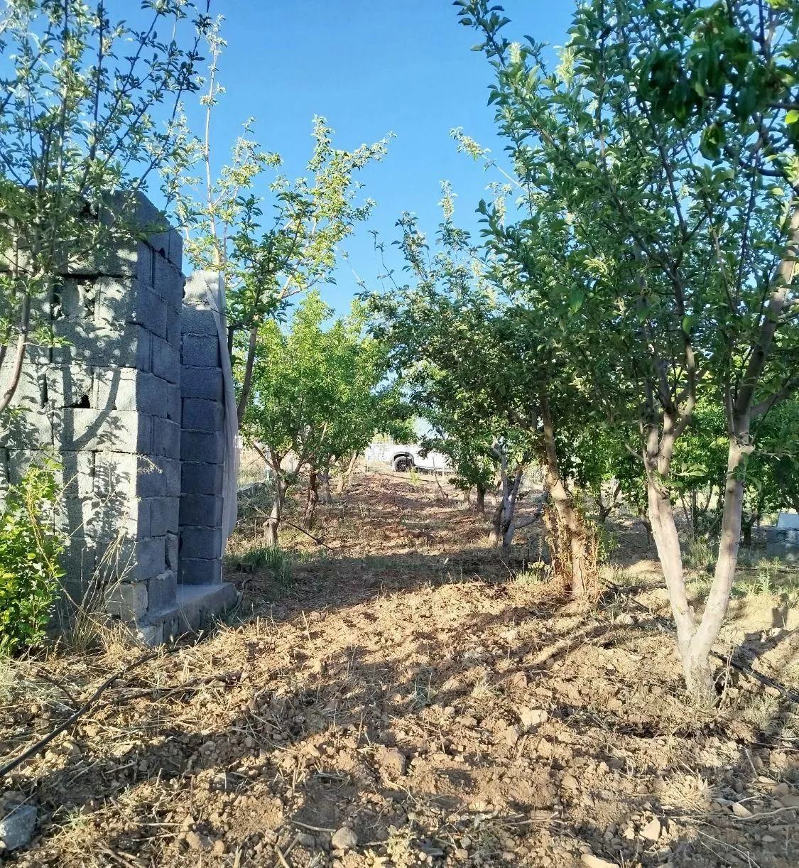 فروش زمین ۵۶۰ متری محدود پل زمانخان.شهرکرد