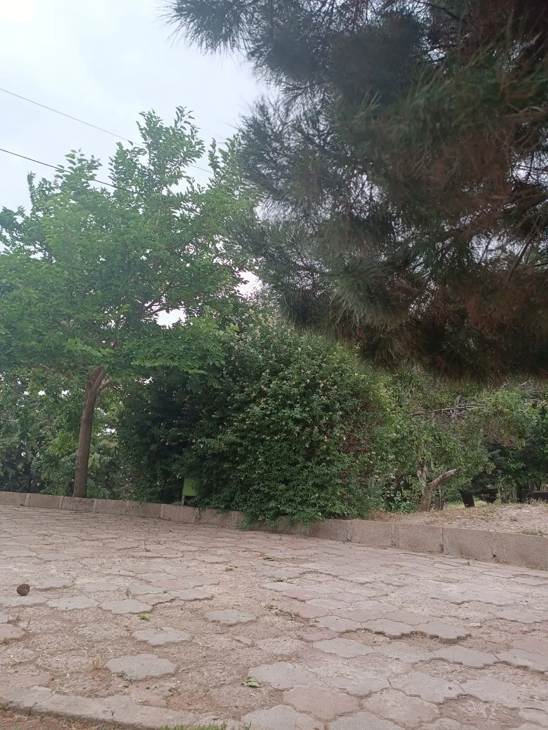 فروش زمین عظمیه