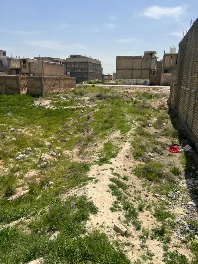 زمین 196فروشی