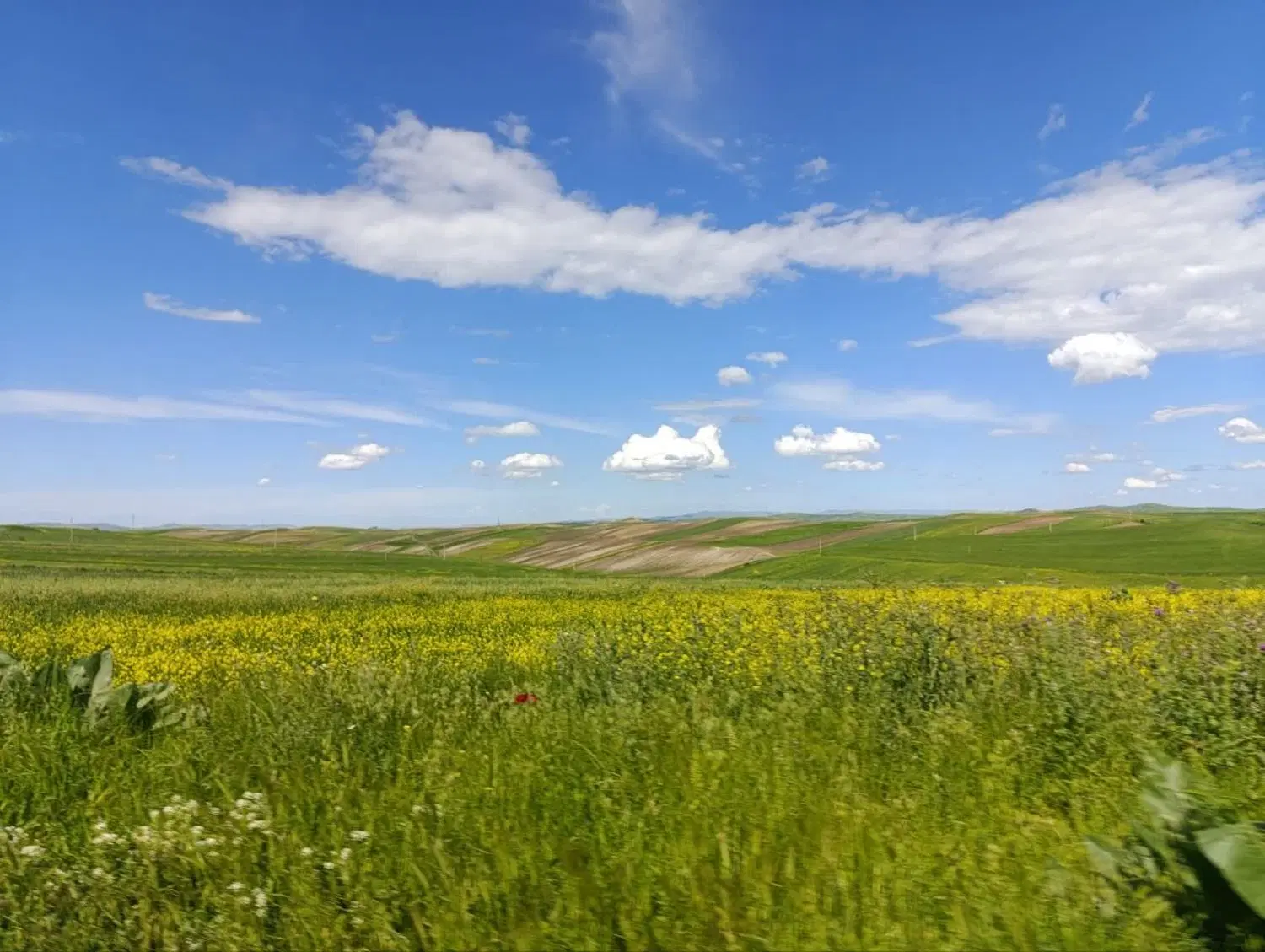 فروش زمین در اسپیران خیابان معدن