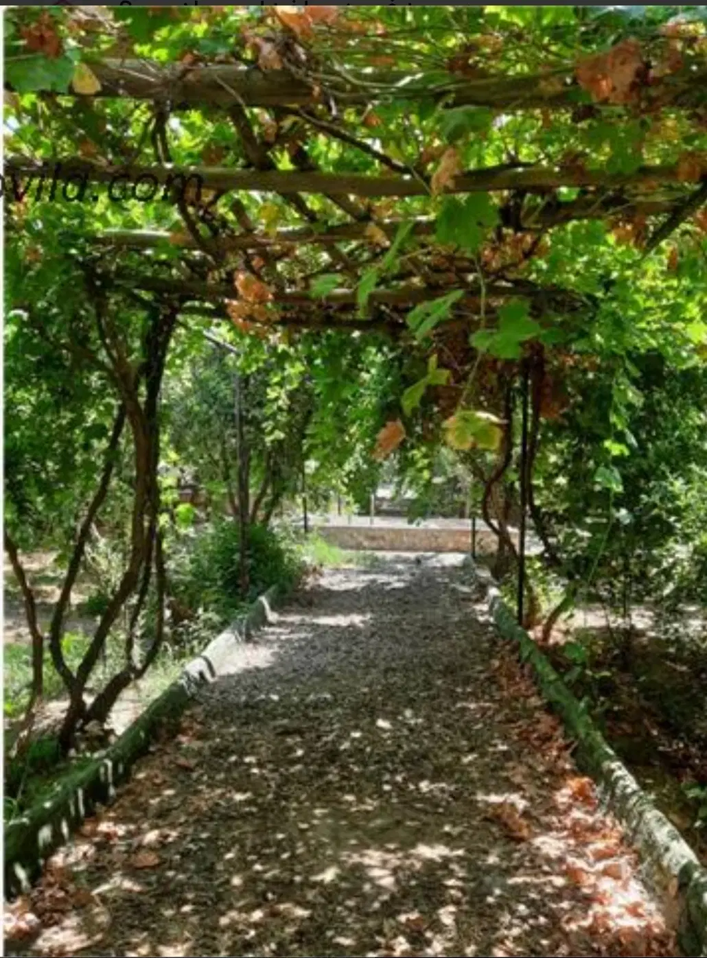 باغ حیدرآباد
