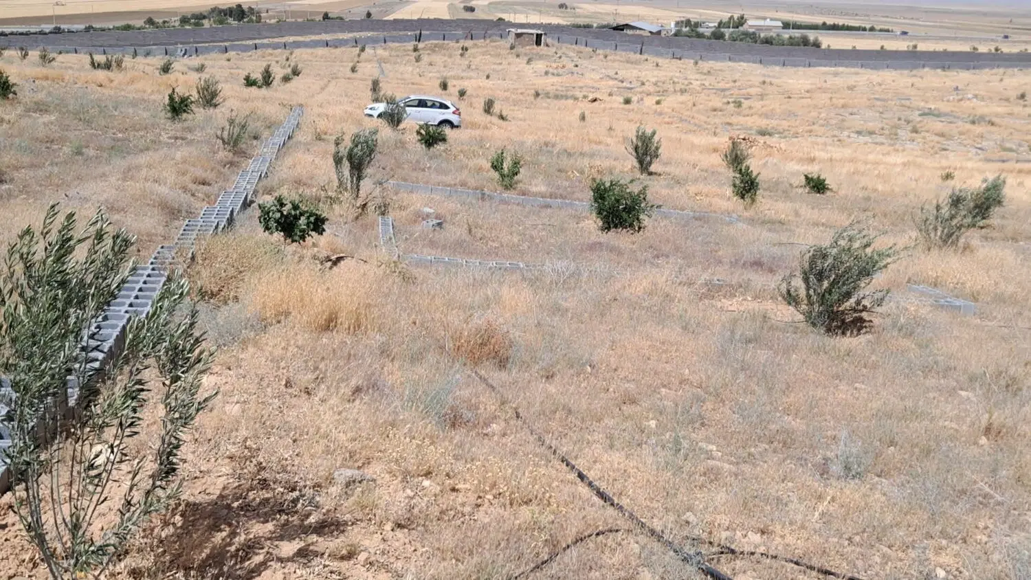باغشهری ۱۰۰۰ مترمربع .