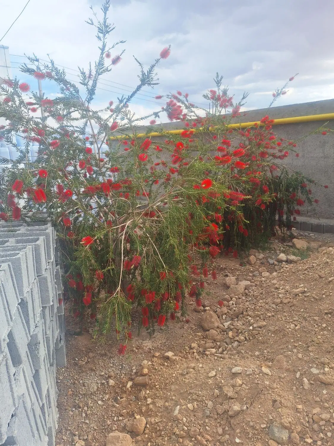 فروش زمین مسکونی در مرکز شهر(بلوک).قیمت استثنایی