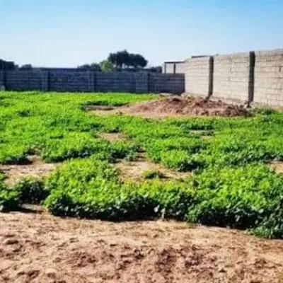 زیگورات بن جعفر