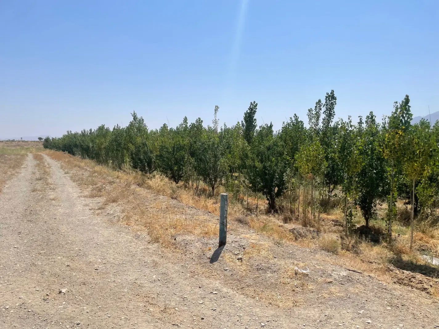 زمین باغی ۱۰۰۰ متری