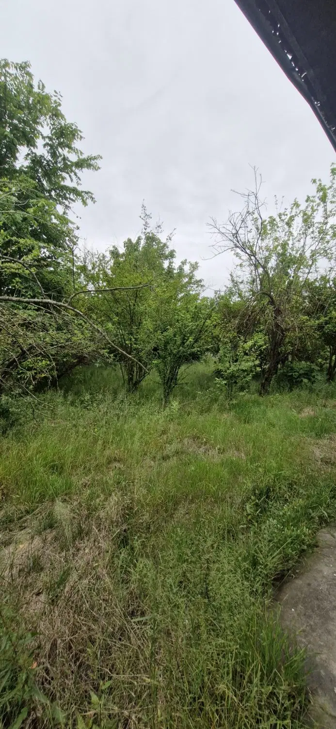خانه روستایی ۲ هزاری متری سنددار