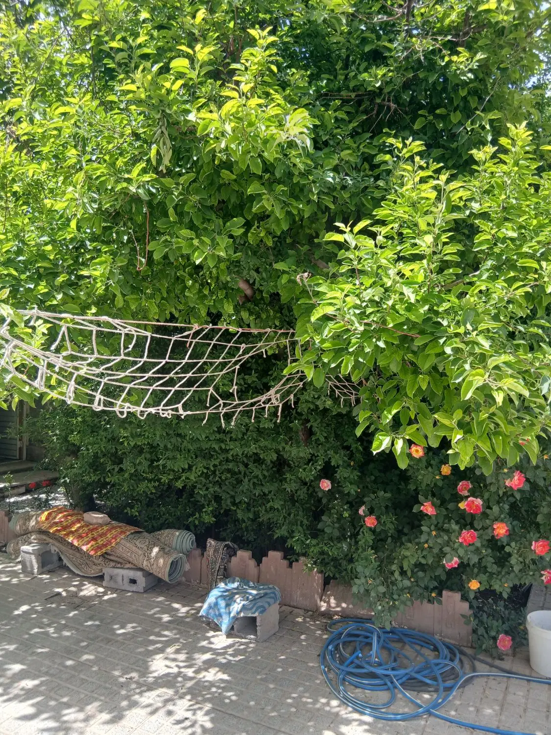 منزل اجاره ای