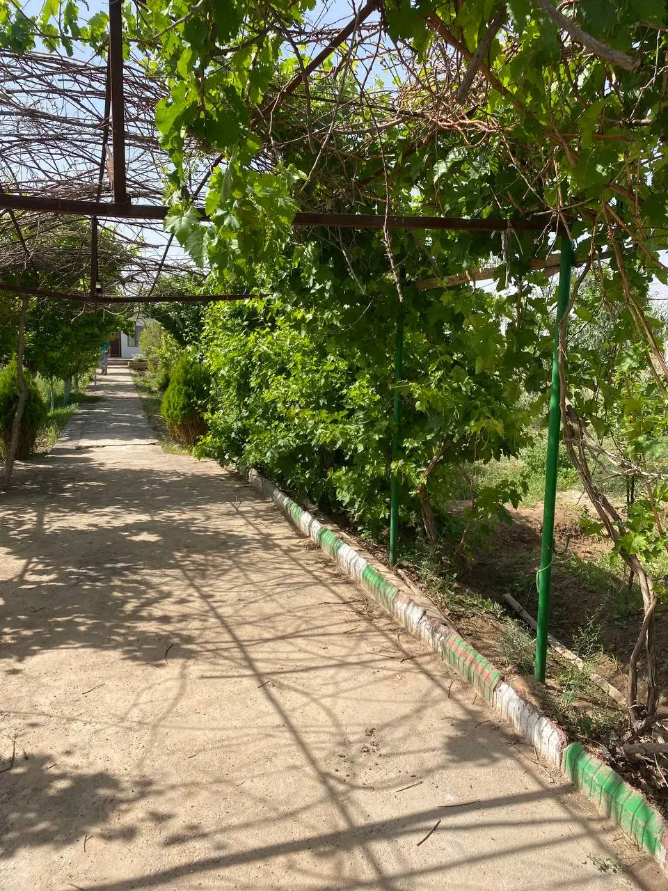 باغ فروشی ۱۰۰۰مترمربع