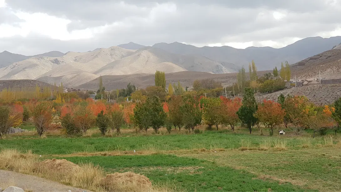 زمین هفت باغ لاین رفت کیلومتر ۱۷