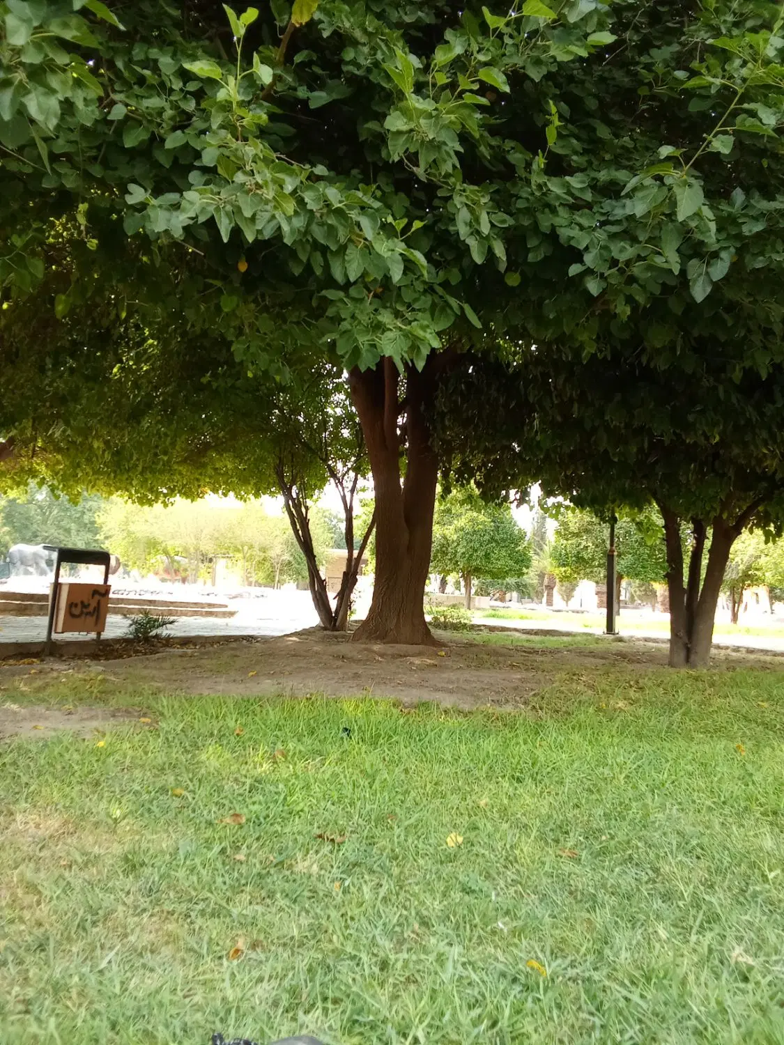فروش زمین در جدول غوره