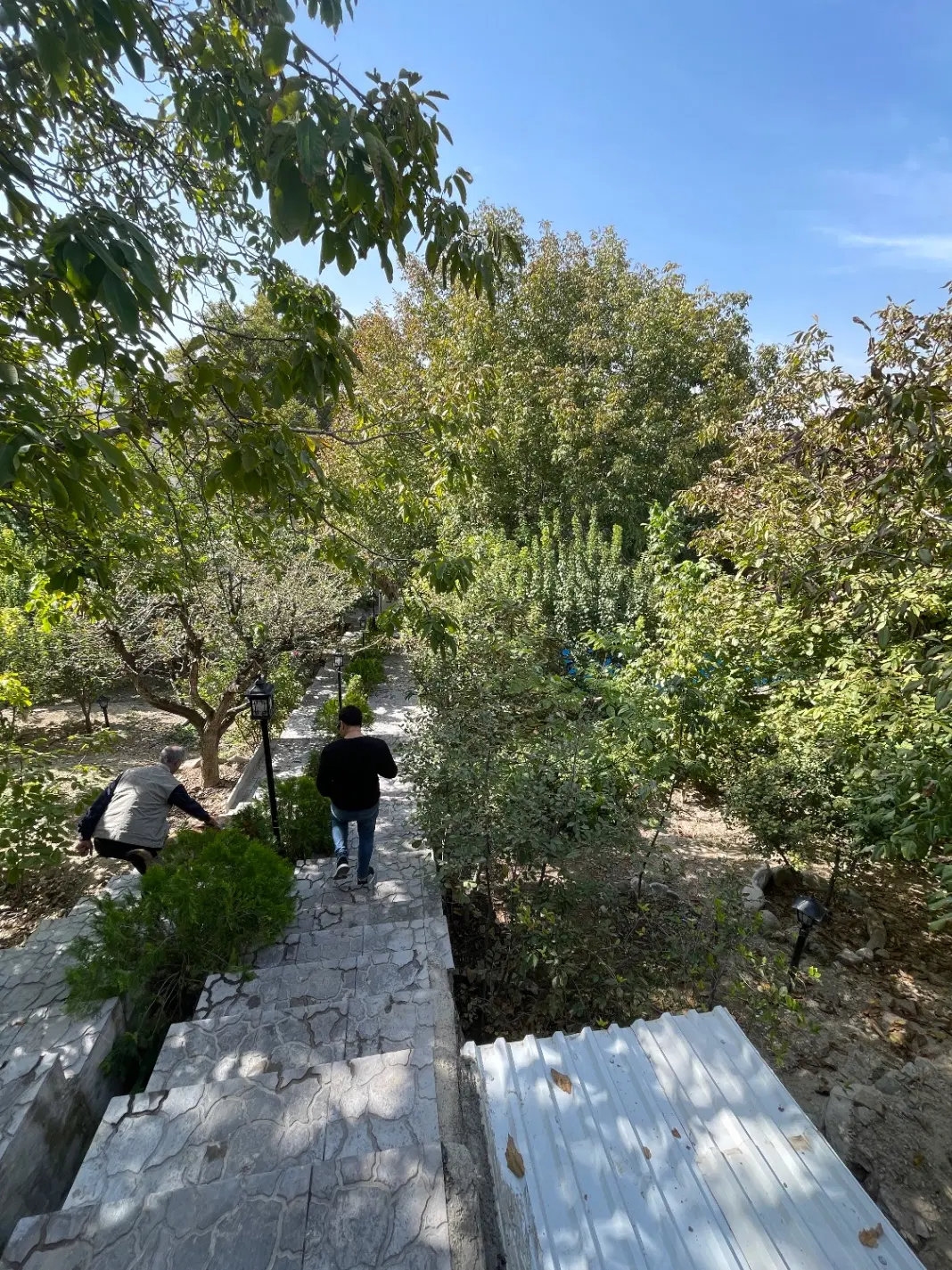 ۲۰۰ متر زمین سند تک برگ نمیر