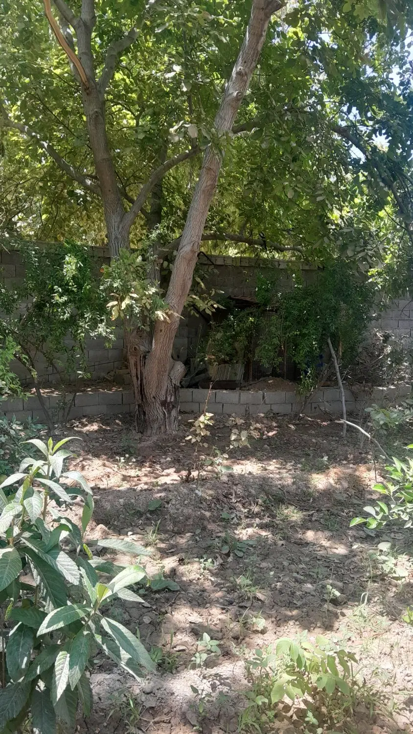 باغچه،هزارمتر،فاروق