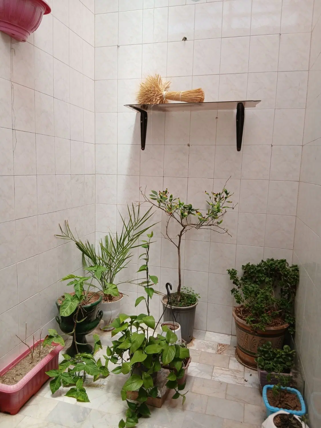 ویلایی شهرک مدنی