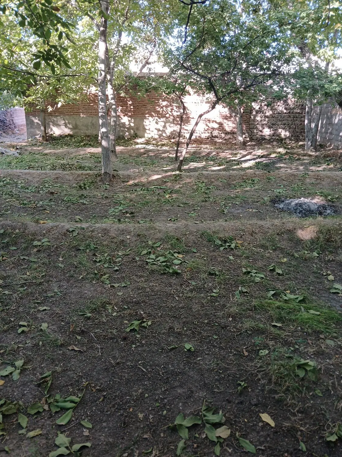باغ روستای اسفنجان
