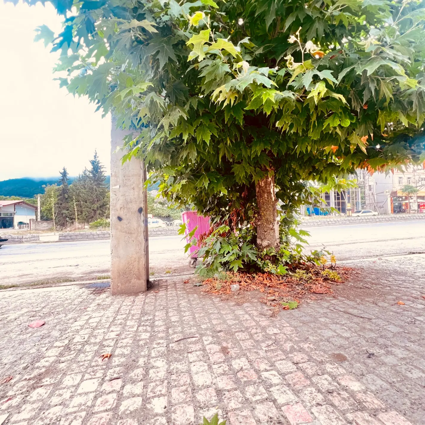 زمین مسکونی کلاردشتلاهو قلم باغ