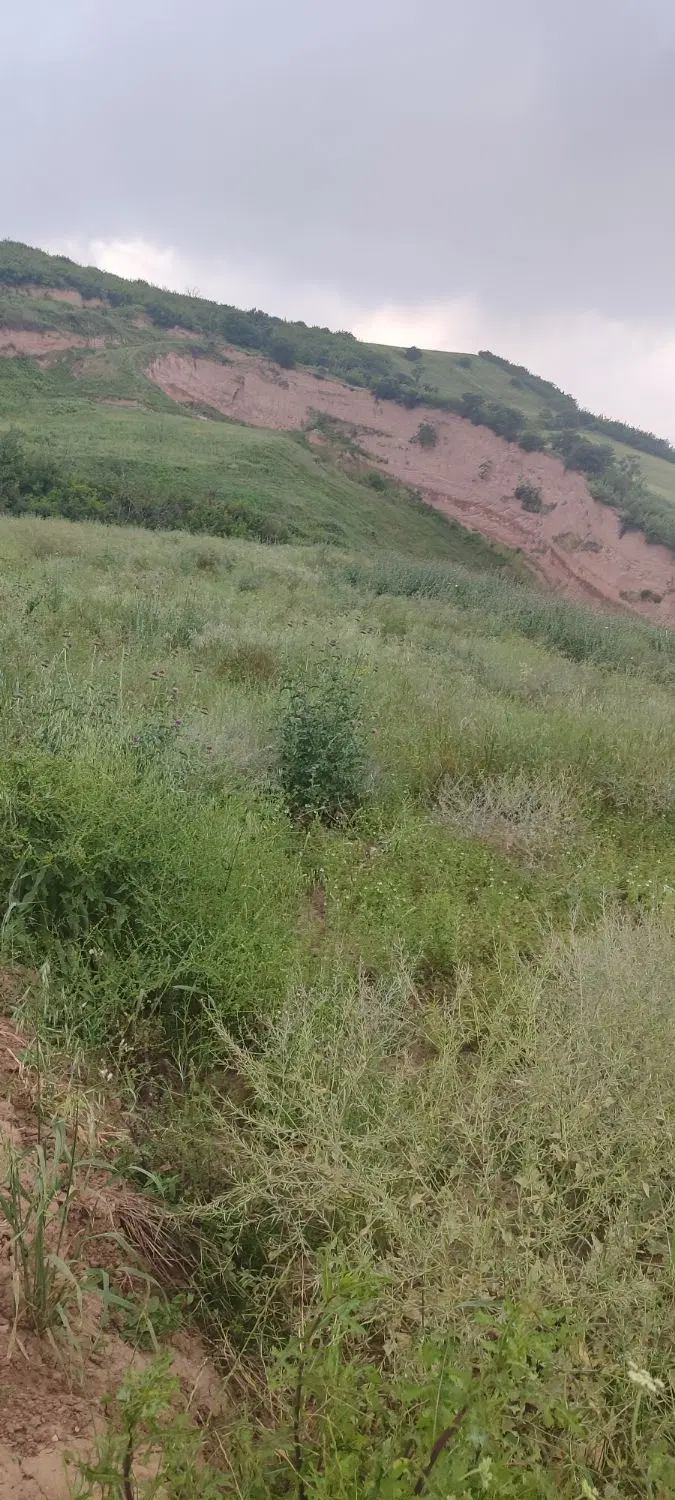 زمین در نصرآباد