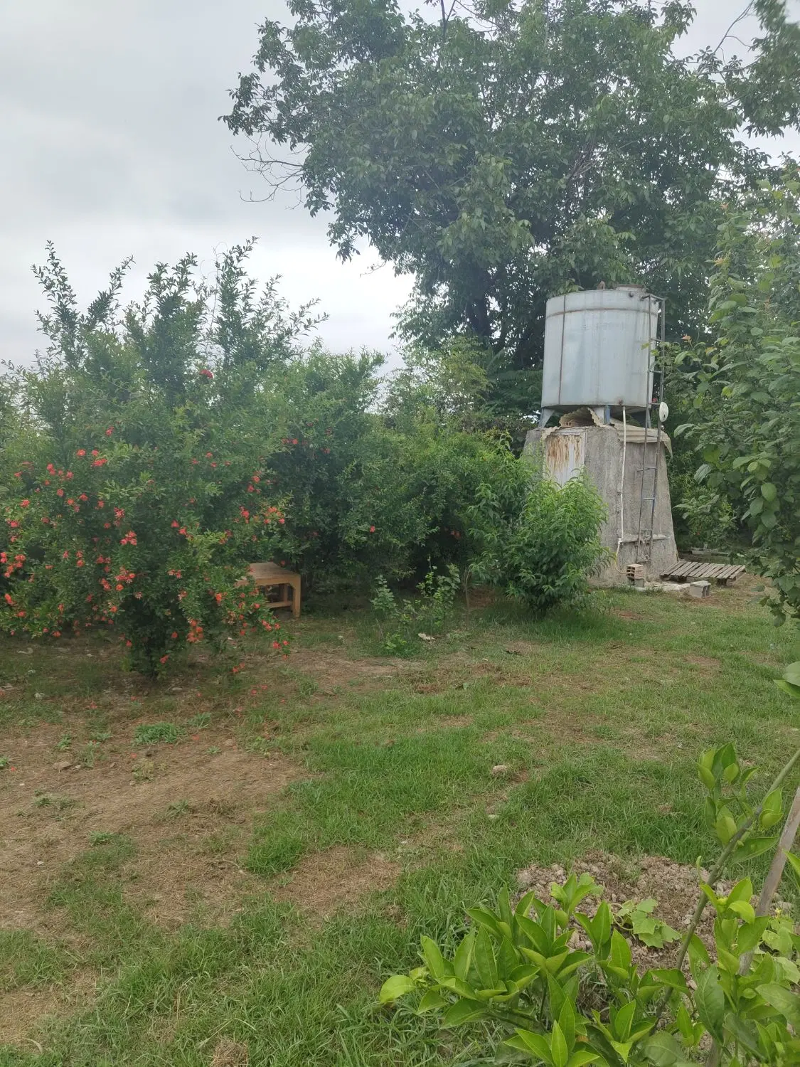 خانه باغ ۱۰۰۰ متری نصراباد