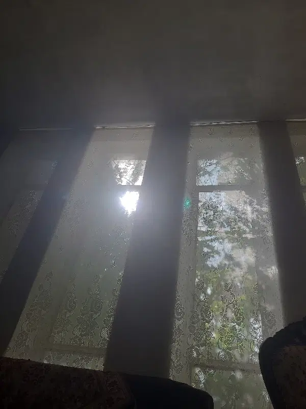 خانم همخانه