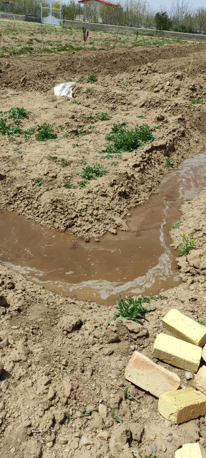 زمین باغی رشید اباد نزدیک کمر بندی