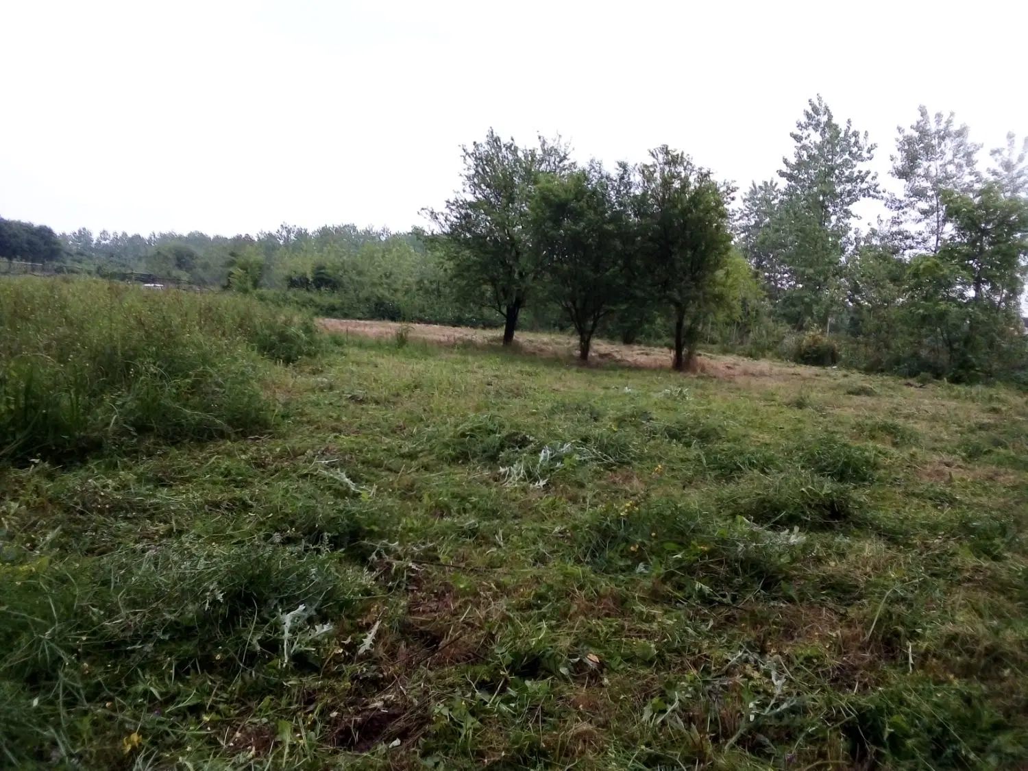فروش زمین باغی آینده دار . مالکم