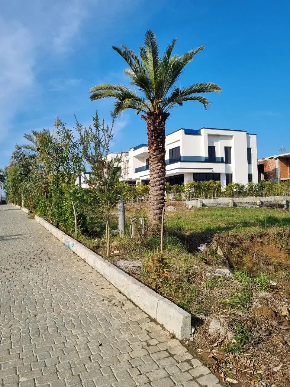 ۸۰۰متر برند ونوش شهرکی