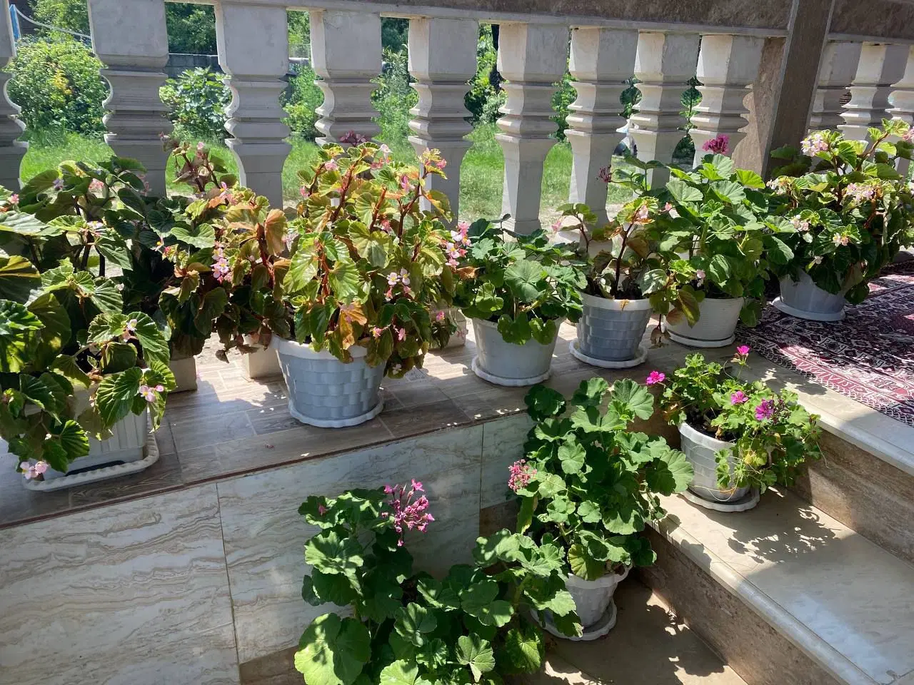 ویلا اجاره ای