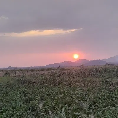خونه باغ ۱۰۰۰ متری