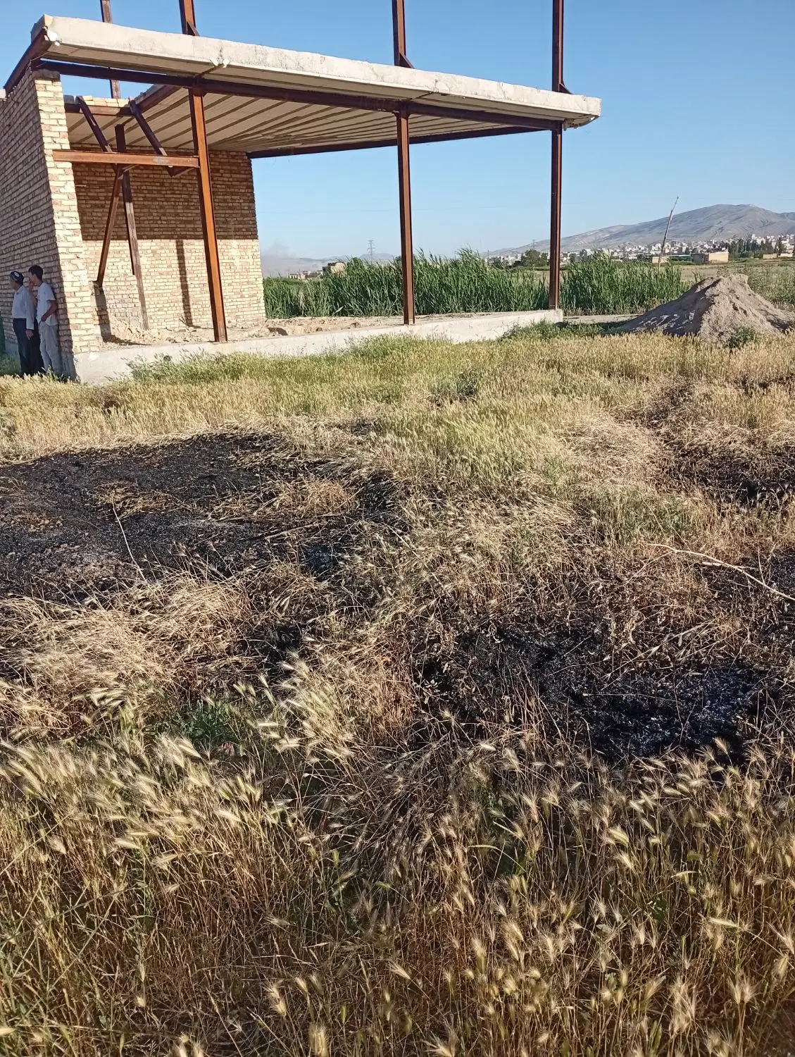 زمین بادکی ناصر آباد