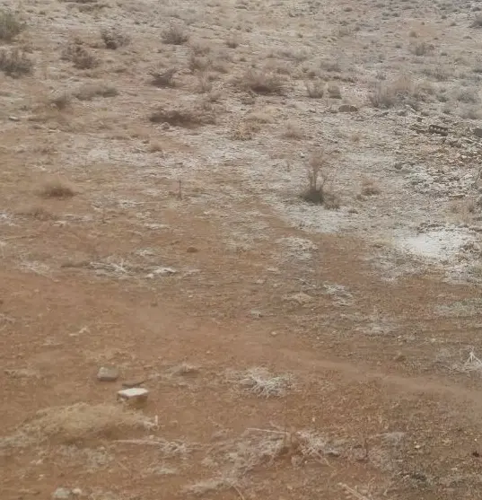 فروش۱۰۰۰متر زمین بکر در سه چاه کلستان