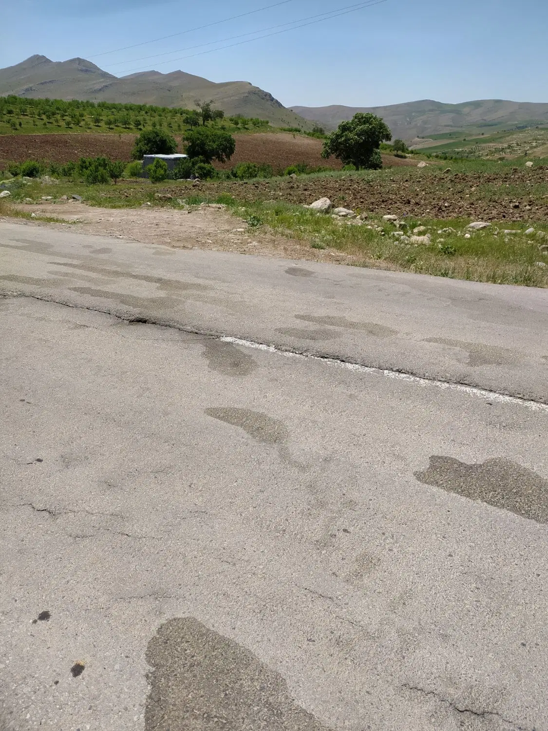 زمین کشاورزی