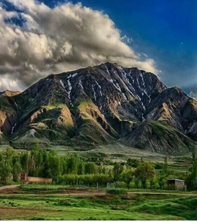 فروش قطعه زمین باغی در یام