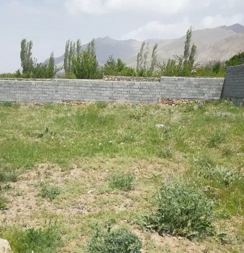 زمین