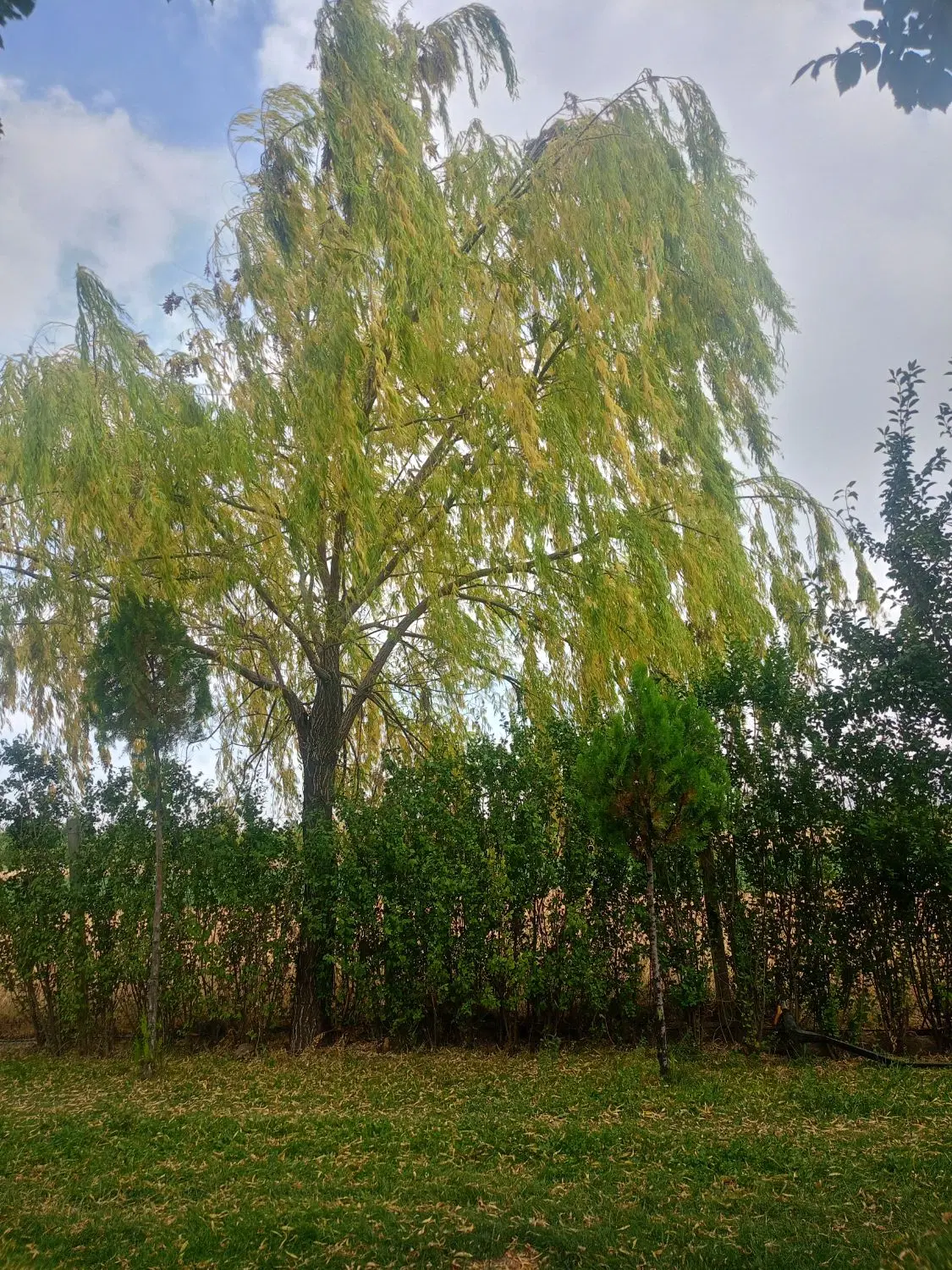 باغ استخر دار