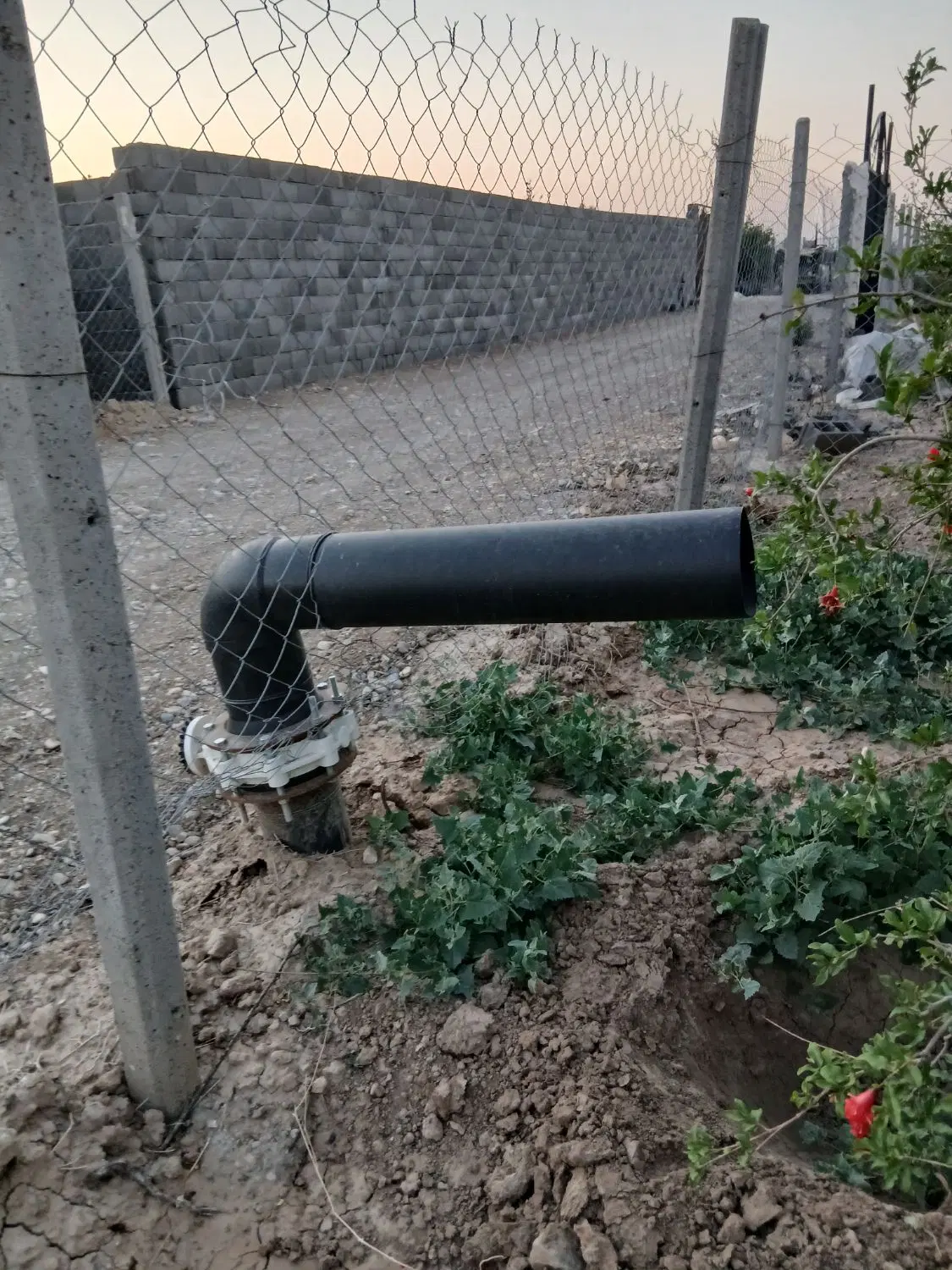 باغچه مخصوص خانواده