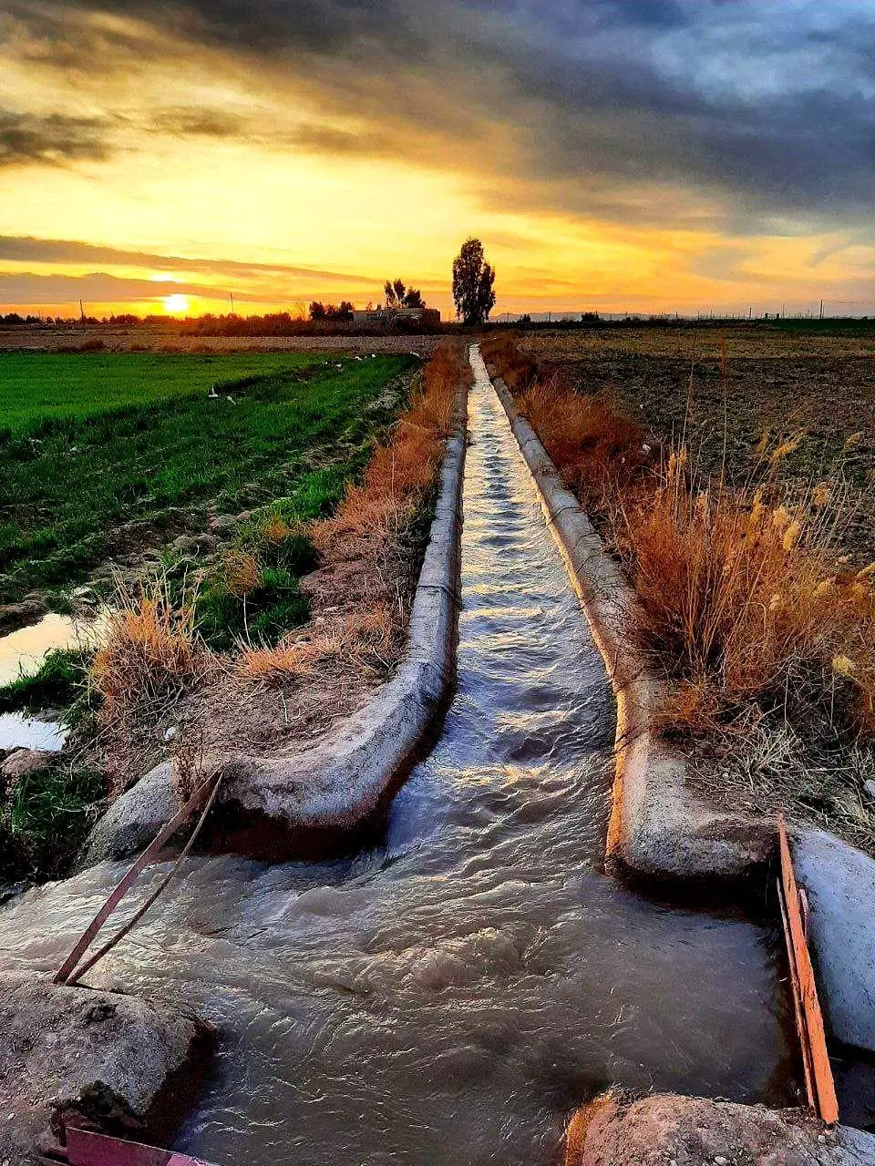 زمین فرهنگیان