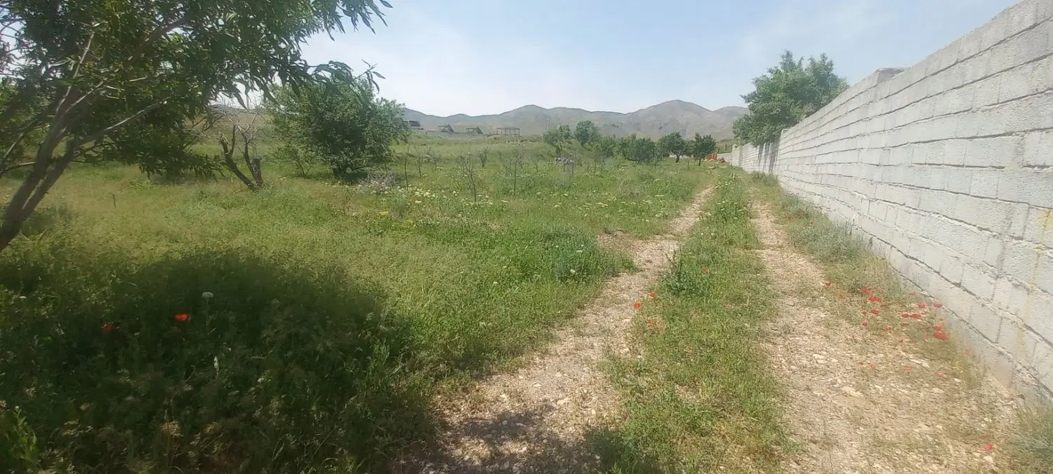 قطعه زمین ویلایی ۵۰۰ متر(زین آباد)